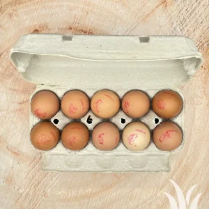 Eieren speciaal 10 stuks