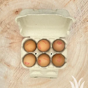 Eieren speciaal  6 stuks