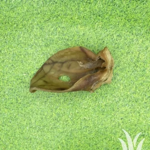 Gedroogde varkensoor